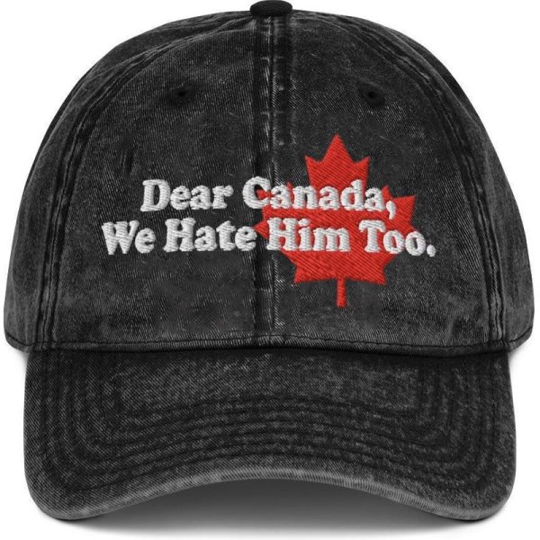 Dear Canada We Hate Him Too Political Protest Dad Hat