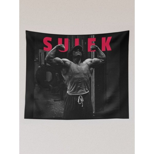 Sam Sulek Inspiration Wall Tapestry, Sam Sulek Wall Hanging, Building Tapestries