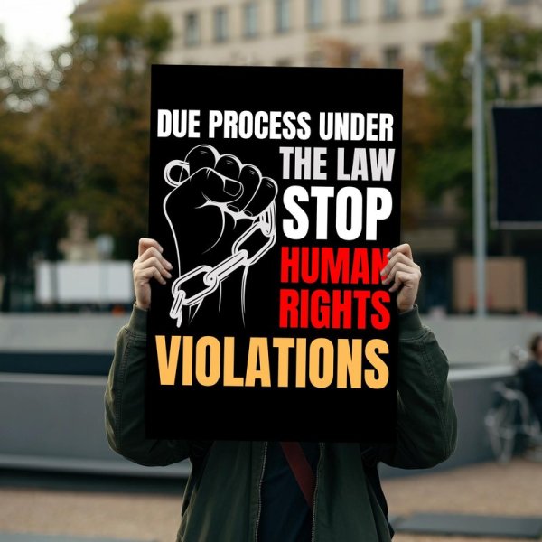 Stop Human Rights Violations, Hands Off Our Democracy, Protest Sign For March, Anti Trump, Anti Musk, Political Art