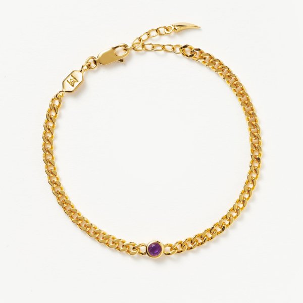 February Birthstone Chain Bracelet | 18k Gold Plated Vermeil/Amethyst