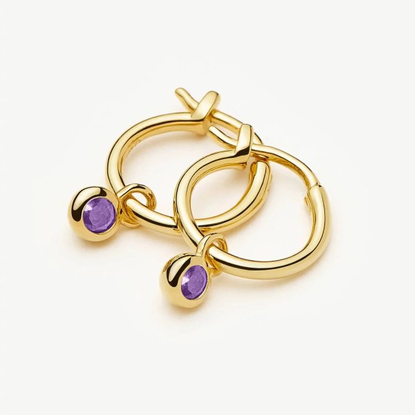 February Birthstone Mini Charm Hoop Earrings | 18k Gold Vermeil/Amethyst