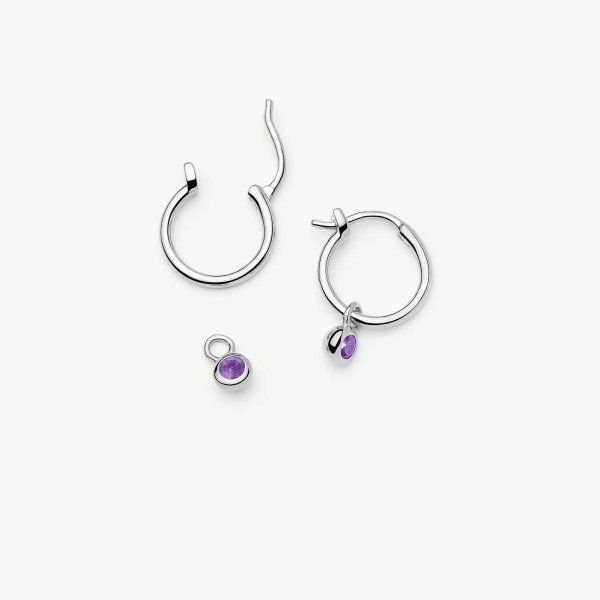 February Birthstone Mini Charm Hoop Earrings | Sterling Silver/Amethyst